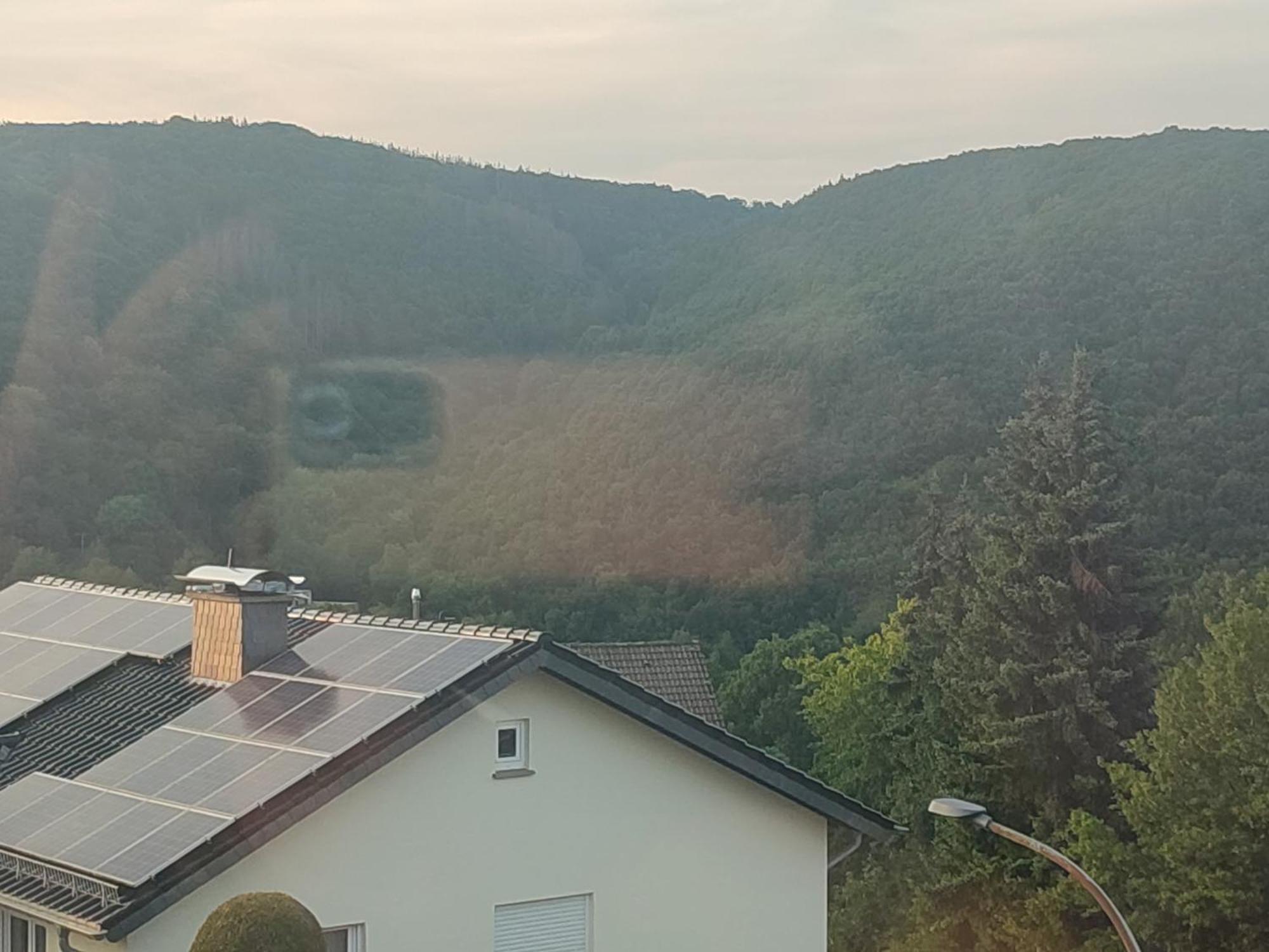 슈라이덴 Kermeterblick 아파트 객실 사진
